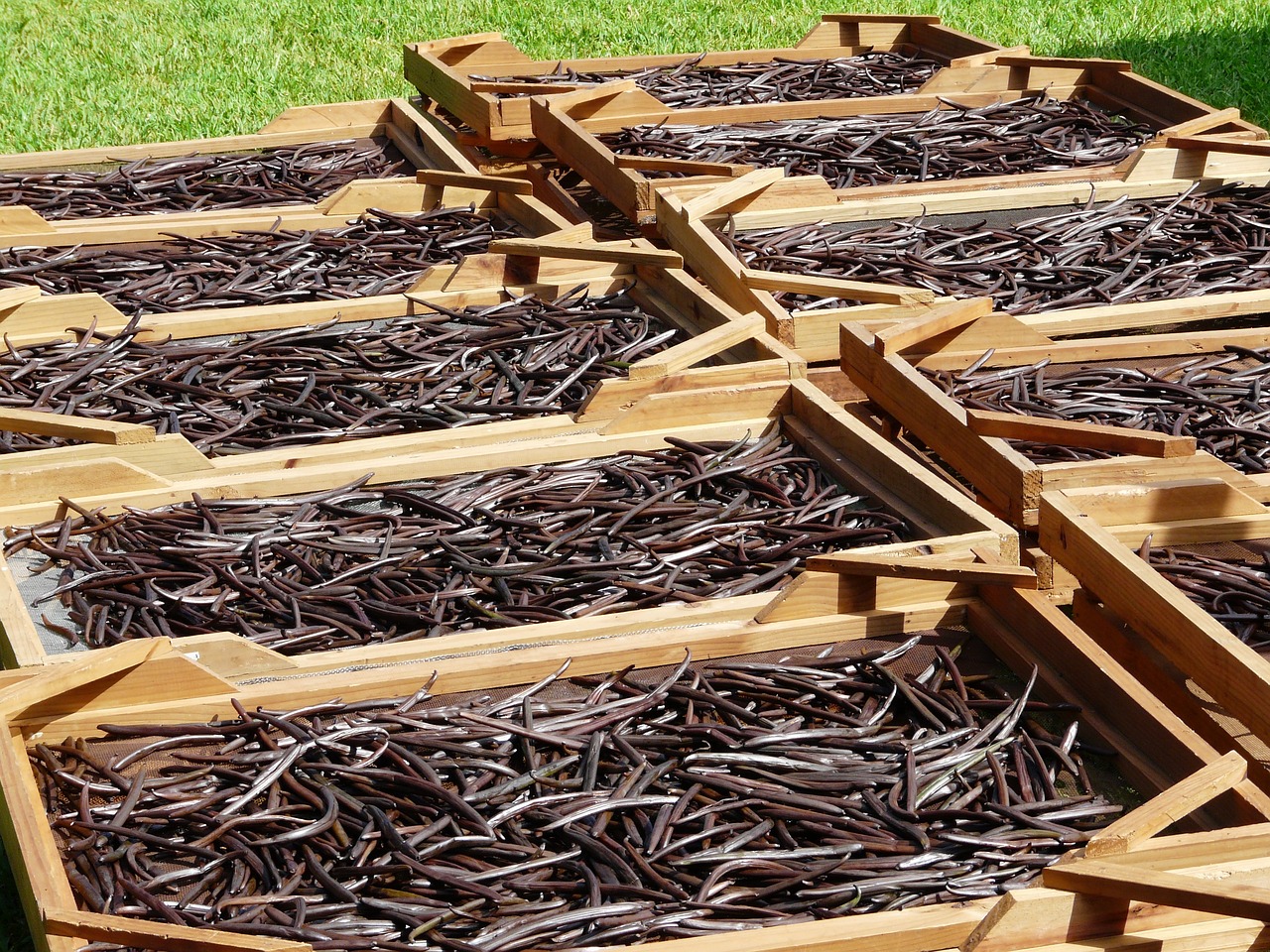 Green Way To Produce Vanillin From Lignin