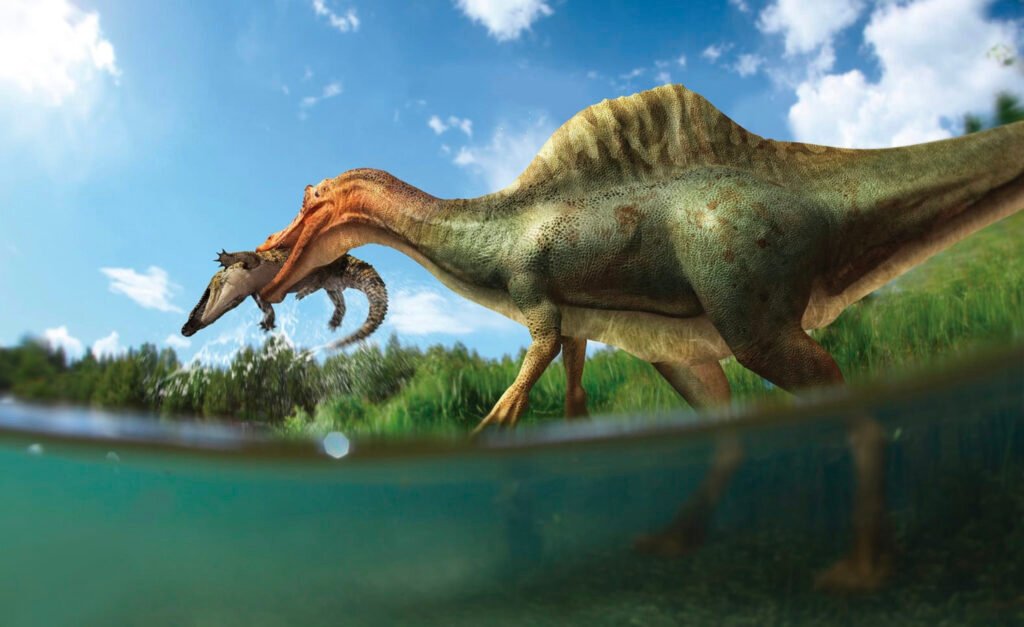 New dinosaur discovered on the Isle of Wight, UK