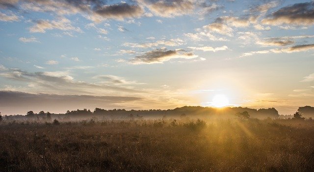 Un farmaco contro il cancro?  La vitamina D sembra ridurre le morti per cancro