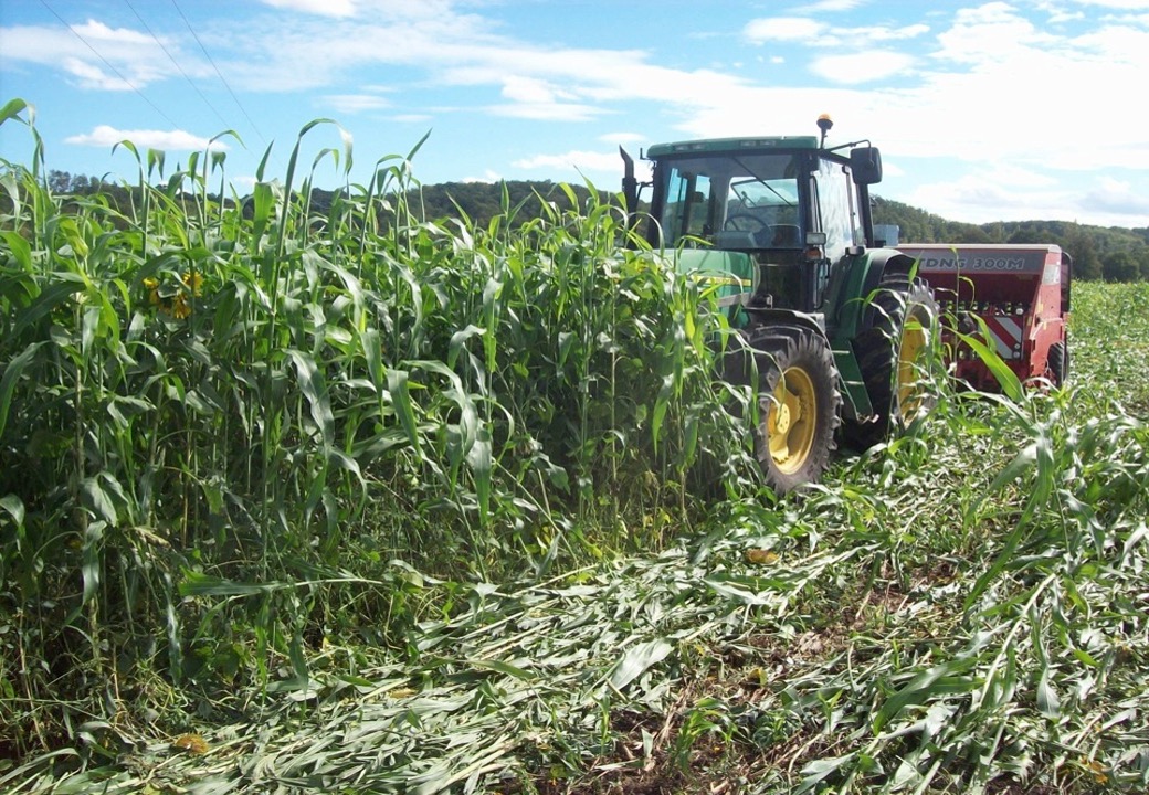 Lagriculture De Conservation Des Sols Sème Ses Graines à La Fao 3677