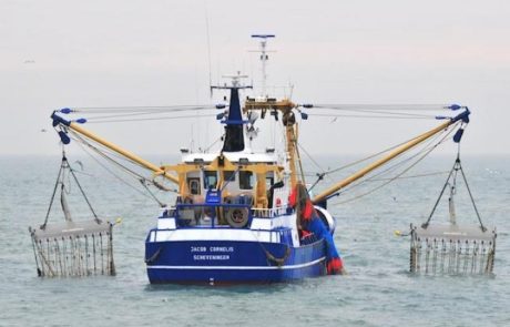 L’UE s’accorde sur une interdiction de la pêche électrique en 2021