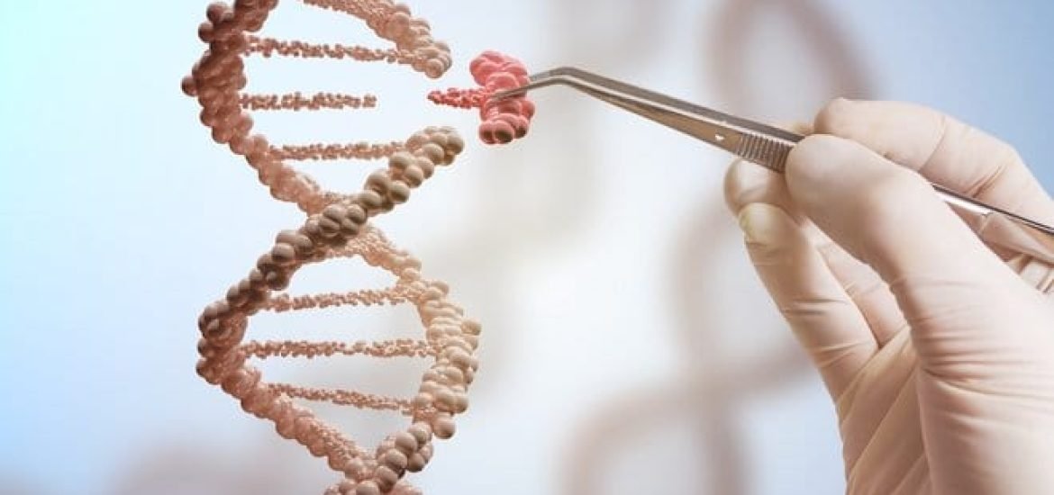 Des chercheurs britanniques découvrent un ensemble de règles simples qui régissent l’édition génétique CRISPR-Cas9