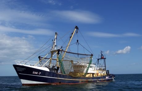 Nouvelles mobilisations contre la pêche électrique