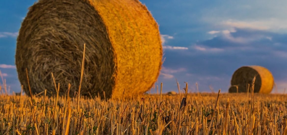 De nouvelles conditions pour prétendre aux aides de la PAC