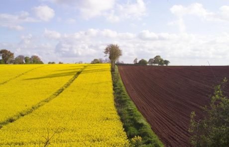 Le Parlement européen vote un nouveau règlement sur les matières fertilisantes