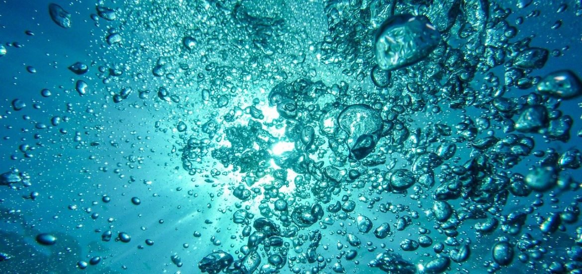 Plankton can store more carbon as the climate warms