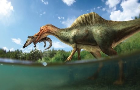 New dinosaur discovered on the Isle of Wight, UK