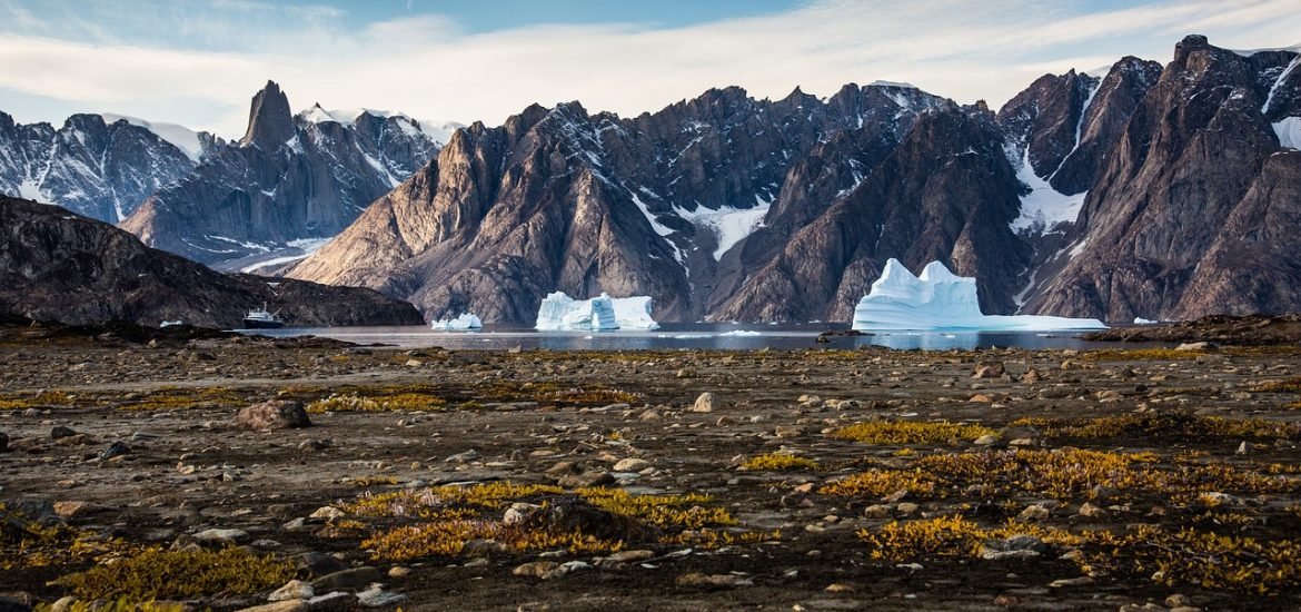 Vegetation in the Arctic needs to be included in climate change models