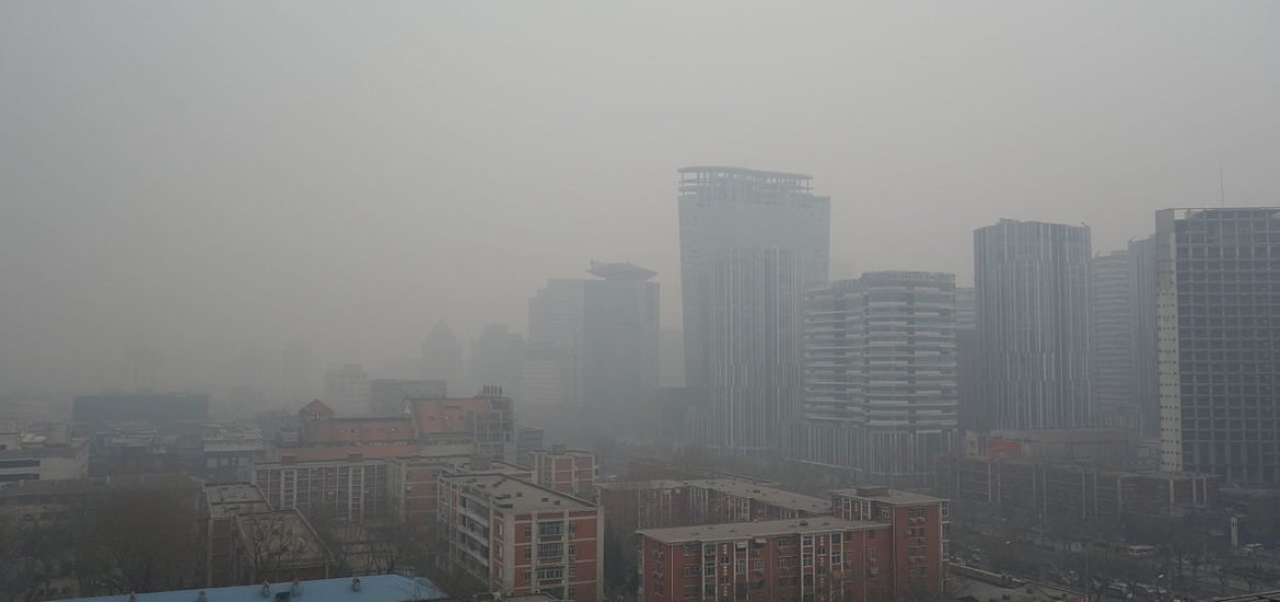 La pollution ennemie de l’intelligence