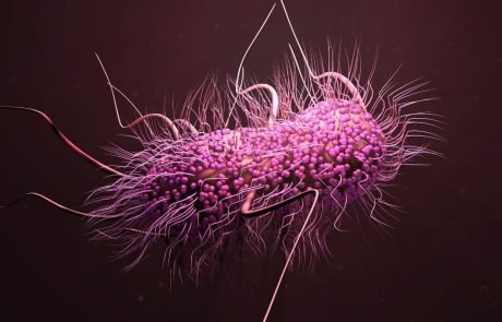 Scientists discover link between common gut bacteria and colon cancer