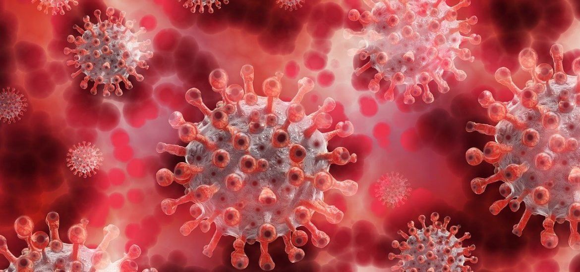 New fast and reliable test to check immunity to the coronavirus