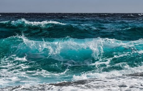 Waves create diversity along the coast
