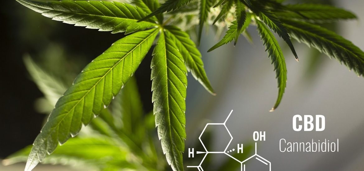 New study reveals that CBD products don’t help patients with chronic pain