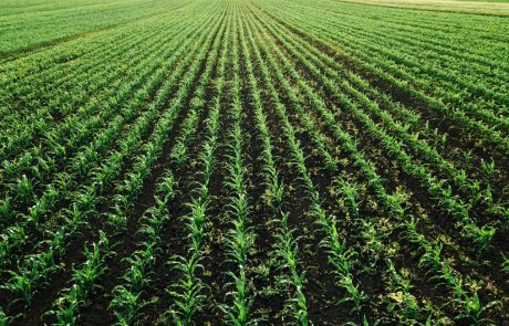 L’agroécologie pour faire face aux enjeux de l’agriculture de demain