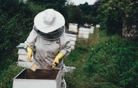 Les apiculteurs européens demandent un plan d’aide