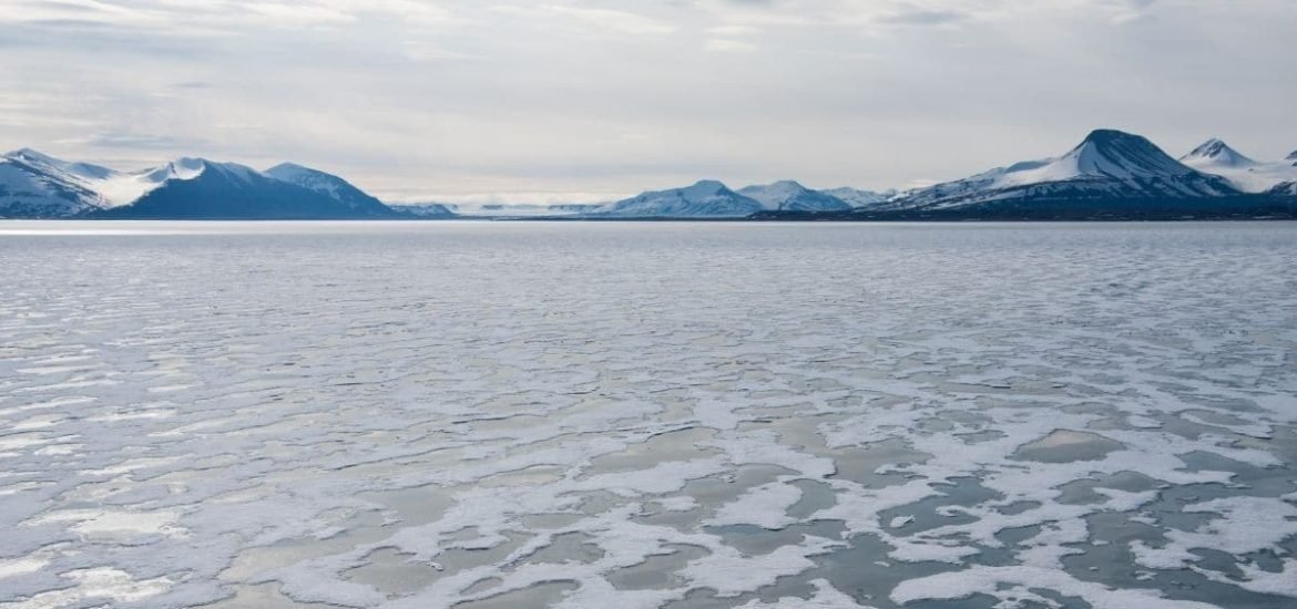 Arctic sea ice reaches second-lowest level on record