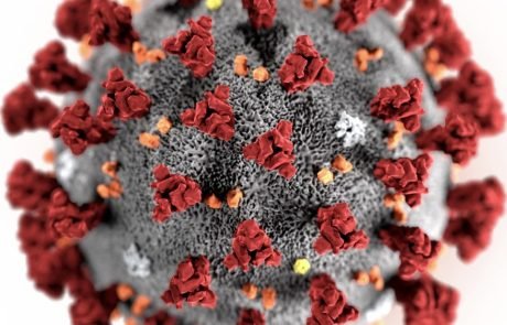 Virus 2019-nCoV, eine Chance für die Risikoforschung