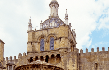 Un mystérieux champignon menace la cathédrale Velha de Coimbra au Portugal