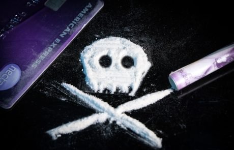 Wie Drogenkonsum die Umwelt zerstört: Kokainschmuggel bedroht wichtige Vogellebensräume