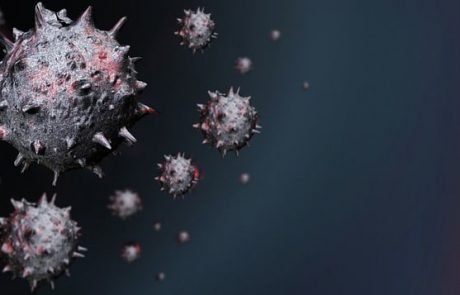 Neue Entdeckung: Lebewesen ernähren sich von Viren