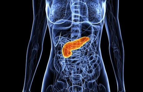 Reprogramming pancreatic cells to produce insulin