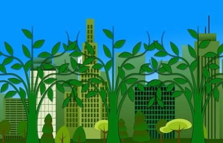 Flora Robotica will Häuser aus Pflanzen wachsen lassen
