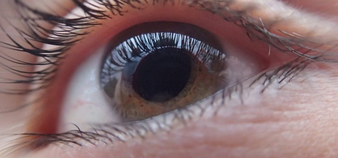 Forscher lassen Blinde wieder sehen, mit künstlicher Cornea aus Schweinehaut