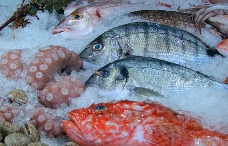 EU is largest single market for fish products