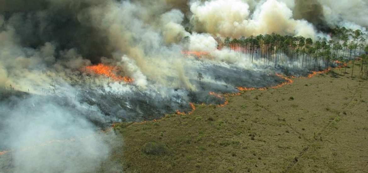 Klimawandel: Brände führen zu gefährlichem Teufelskreis