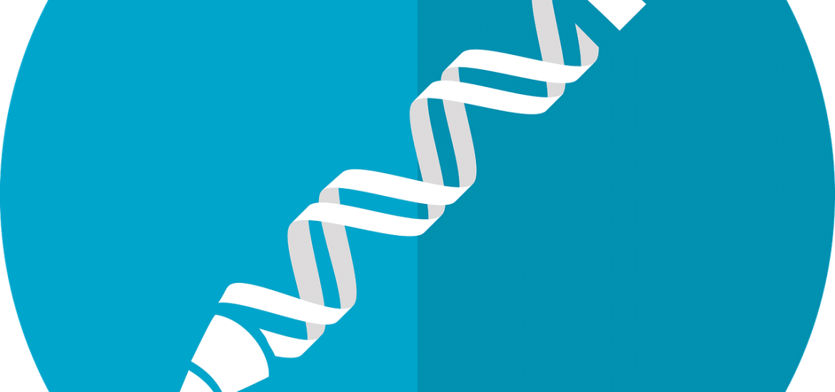 Les ciseaux génétiques Crispr-Cas9 provoquent des mutations génétiques