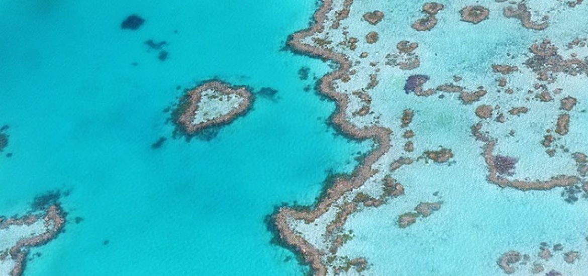 Meeresspiegelveränderung war Voraussetzung für Bildung des Great Barrier Reefs