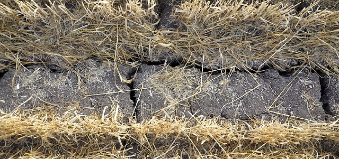 Immer weniger Wasser: Forscher warnen vor großen Herausforderungen in der Landwirtschaft