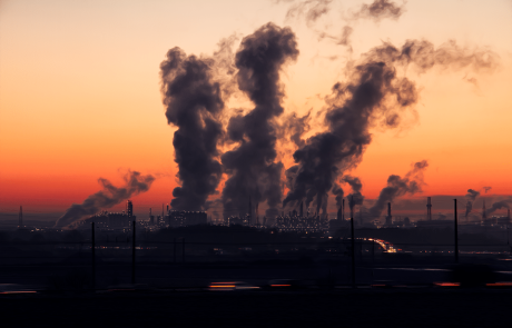 Dutch environmental group loses cleaner-air lawsuit