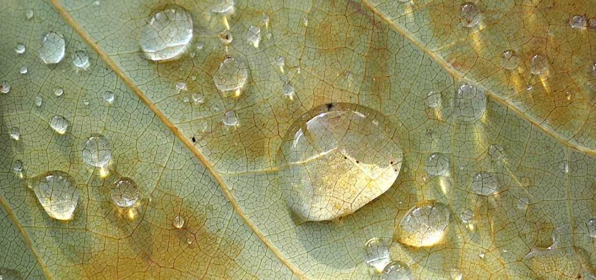 Fermes solaires et symbioses industrielle: l’Europe sur le chantier de la réutilisation de l’eau