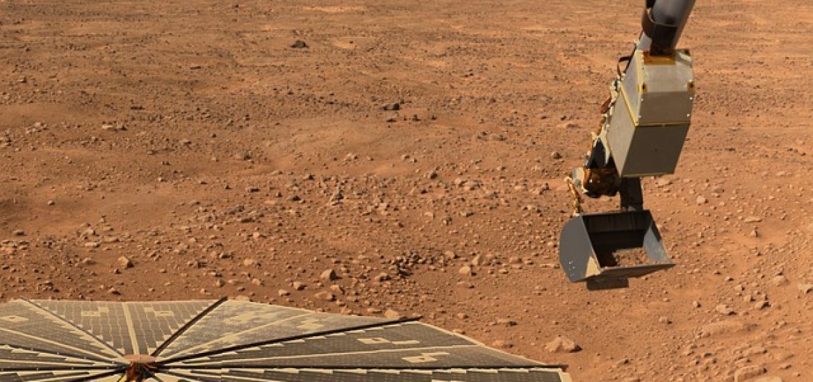 Mars-Rover übersieht offenbar Leben auf der Erde