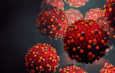 Measles virus leaves a lasting mark on the immune system