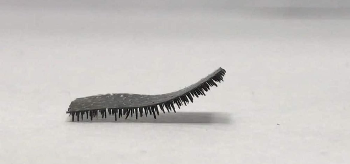 A soft tiny caterpillar-like robot is scuttling toward biomedical applications