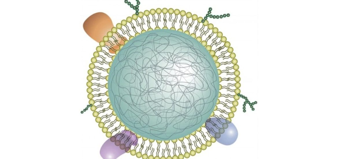 Neutrophil nanosponges: a potential new approach for managing rheumatoid arthritis