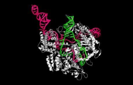 New CRISPR gene-editing technique could fix a multitude genetic defects