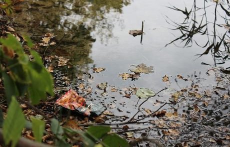 Forscher weisen Plastikfressende Bakterien in europäischen Seen nach