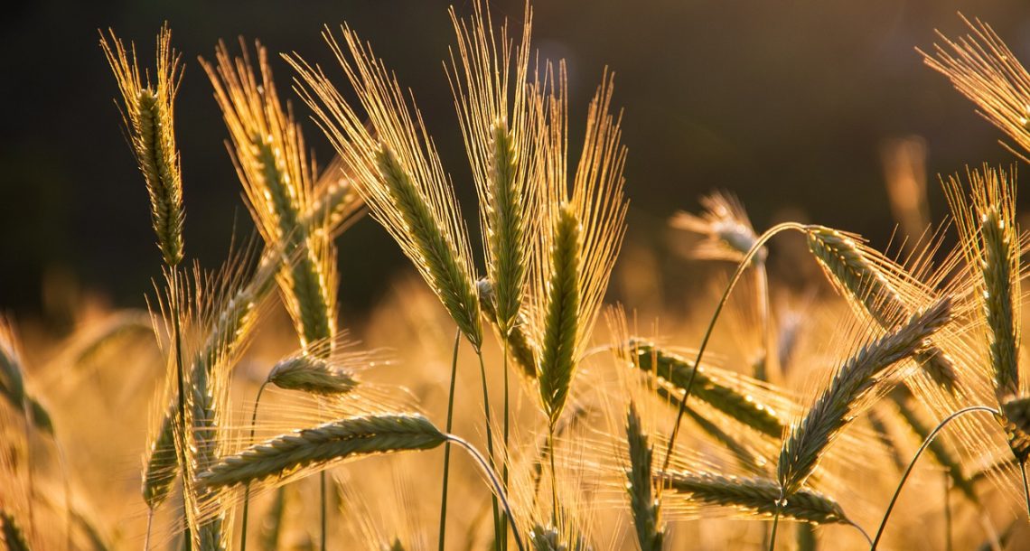 117 nouvelles organisations rejoignent l’appel de 153 lauréats du prix Nobel et du Prix Mondial de l’Alimentation