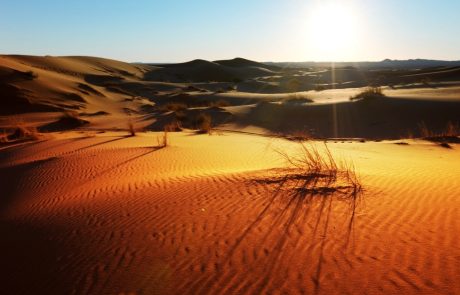 Large-scale wind and solar farms would bring more rain to the Sahara