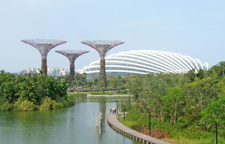 Les façades végétalisées : un atout pour le climat et la biodiversité urbaine