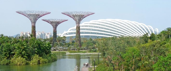 Les façades végétalisées : un atout pour le climat et la biodiversité urbaine