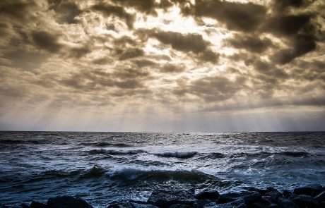 Scientists warn of unprecedented oxygen loss in Baltic Sea