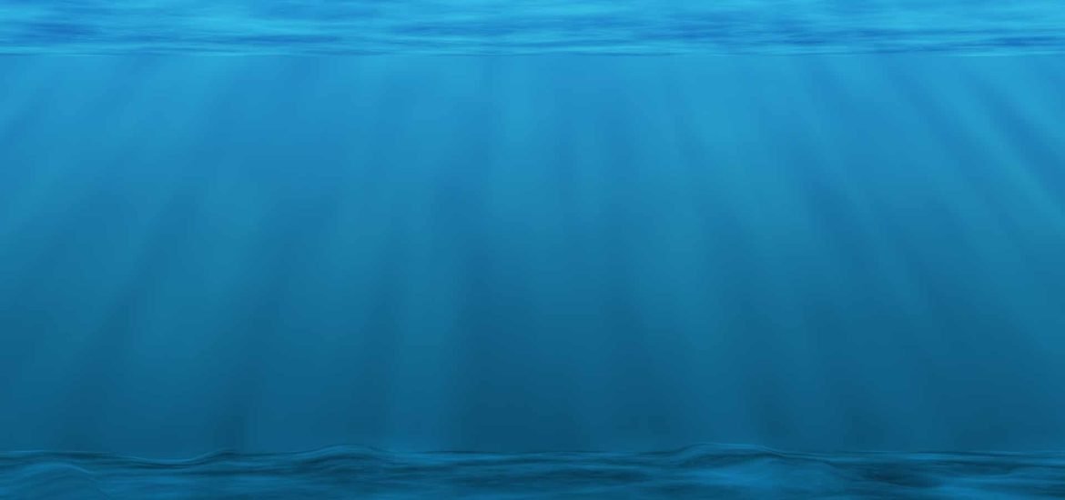 Risque climatique et environnemental : les solutions naturelles de l’océan
