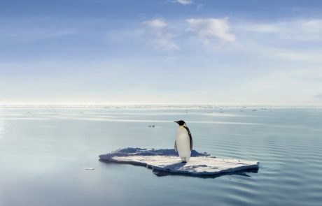 Vague de froid : des températures européennes inférieures à celles du pôle Nord