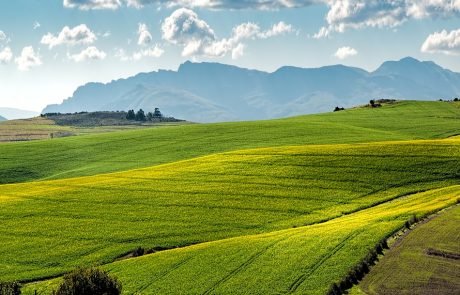 Comment différencier les différents biocarburants ?