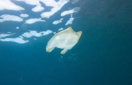 Un premier succès pour la politique européenne de réduction des déchets plastiques