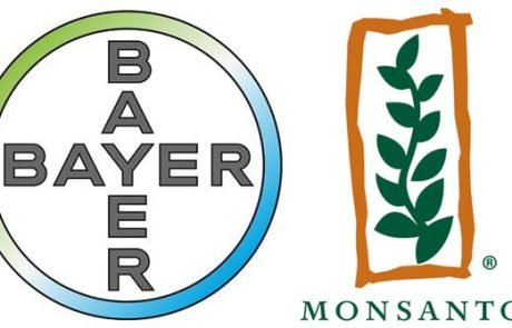 EU issues formal objection to Bayer-Monsanto merger